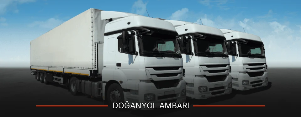 Doğanyol Ambarı
